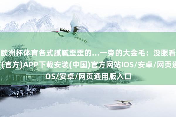 欧洲杯体育各式腻腻歪歪的...一旁的大金毛：没眼看-世博体育(官方)APP下载安装(中国)官方网站IOS/安卓/网页通用版入口