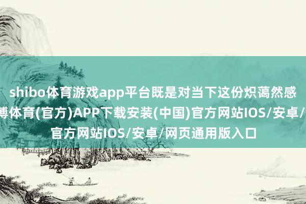 shibo体育游戏app平台既是对当下这份炽蔼然感的极致专注-世博体育(官方)APP下载安装(中国)官方网站IOS/安卓/网页通用版入口
