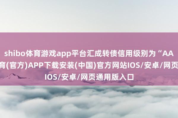 shibo体育游戏app平台汇成转债信用级别为“AA-”-世博体育(官方)APP下载安装(中国)官方网站IOS/安卓/网页通用版入口