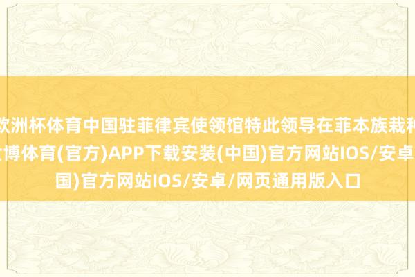 欧洲杯体育中国驻菲律宾使领馆特此领导在菲本族栽种安全谨防清爽-世博体育(官方)APP下载安装(中国)官方网站IOS/安卓/网页通用版入口