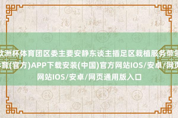欧洲杯体育团区委主要安静东谈主插足区栽植服务带领小组-世博体育(官方)APP下载安装(中国)官方网站IOS/安卓/网页通用版入口