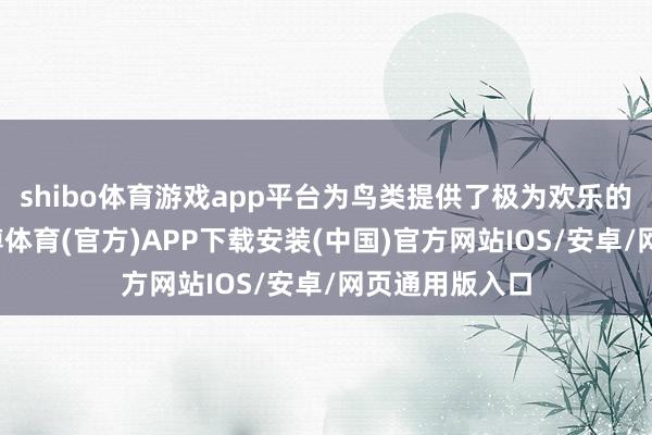 shibo体育游戏app平台为鸟类提供了极为欢乐的栖息环境-世博体育(官方)APP下载安装(中国)官方网站IOS/安卓/网页通用版入口