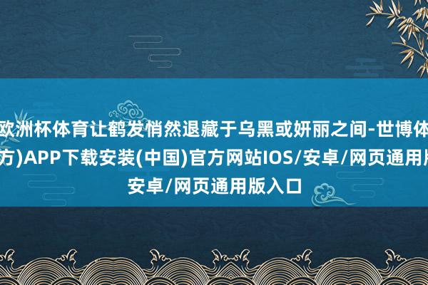 欧洲杯体育让鹤发悄然退藏于乌黑或妍丽之间-世博体育(官方)APP下载安装(中国)官方网站IOS/安卓/网页通用版入口