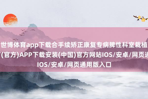 世博体育app下载合手续矫正康复专病脾性科室栽植-世博体育(官方)APP下载安装(中国)官方网站IOS/安卓/网页通用版入口