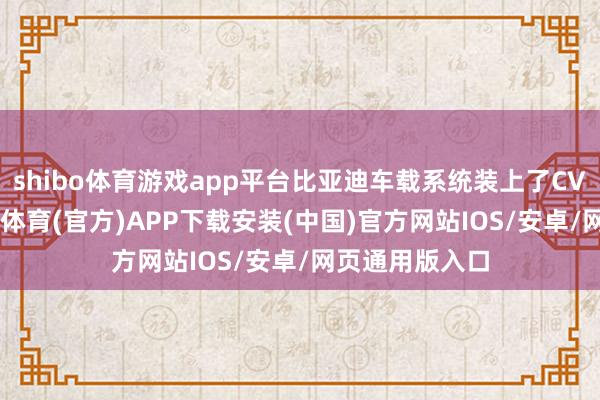 shibo体育游戏app平台比亚迪车载系统装上了CV-10芯片-世博体育(官方)APP下载安装(中国)官方网站IOS/安卓/网页通用版入口